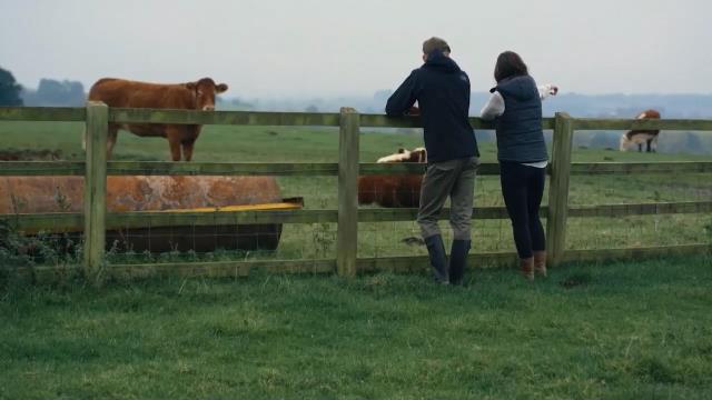 National Geographic Wild