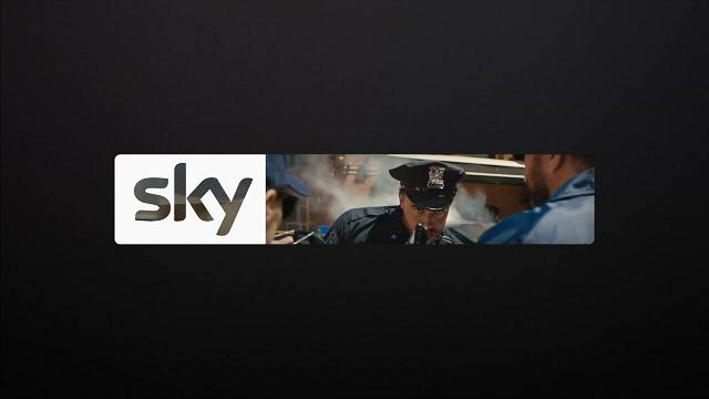 SkyWitness